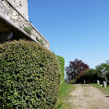 P1000750.JPG