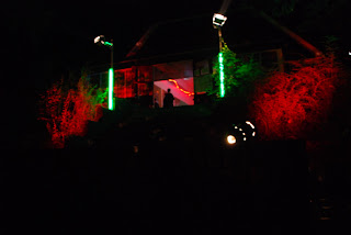 DSC_1382.JPG