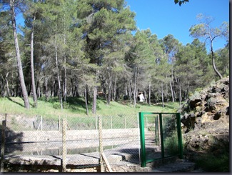 100_0764 100_0764