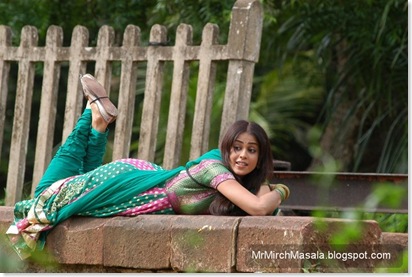 Genelia D'Souza - Cute & Sexy in 'Sasirekha Parinayam', Check out these Stills...