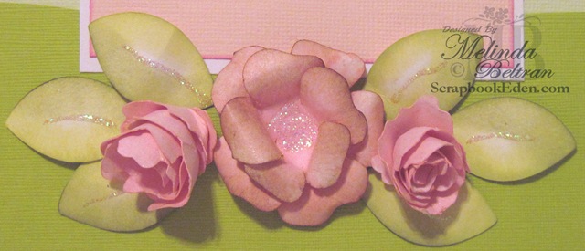 [rose closeup 2[4].jpg]
