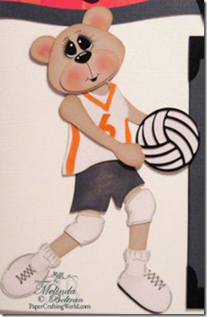 madison volleybear-350j madison volleybear-350j