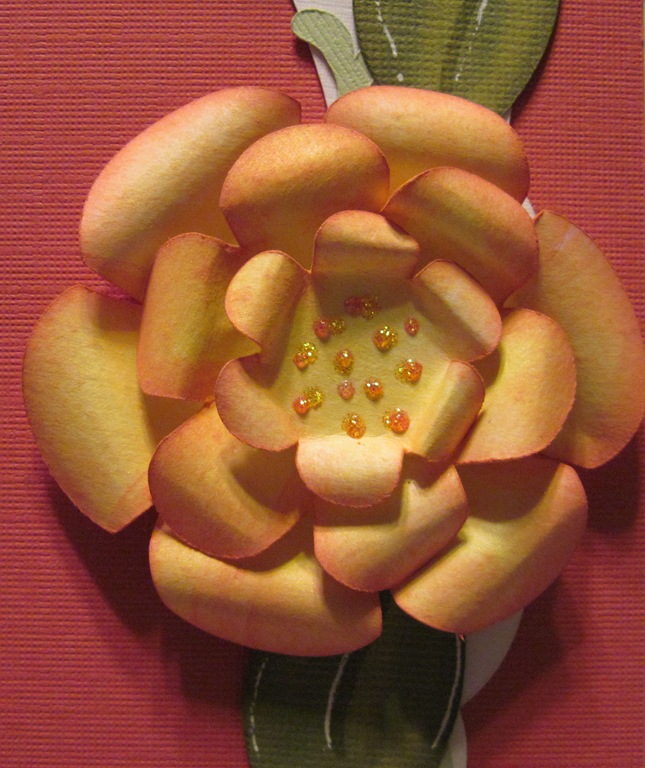 [flower piecing closeup[5].jpg]