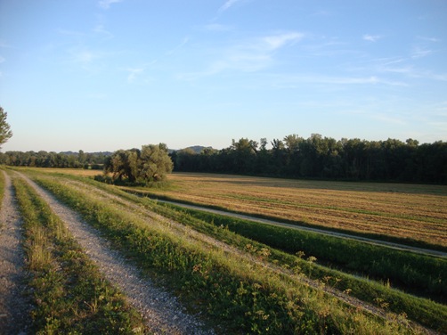 [DSC06974[4].jpg]