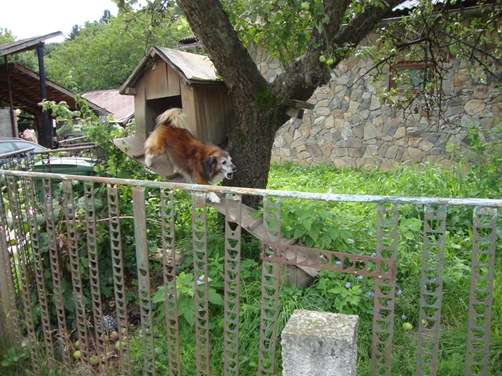 [DSC070484.jpg]