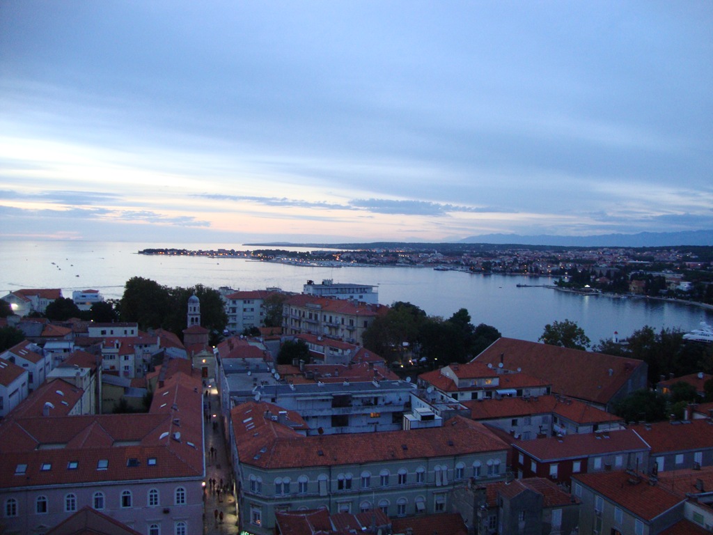 [DSC08222[3].jpg]