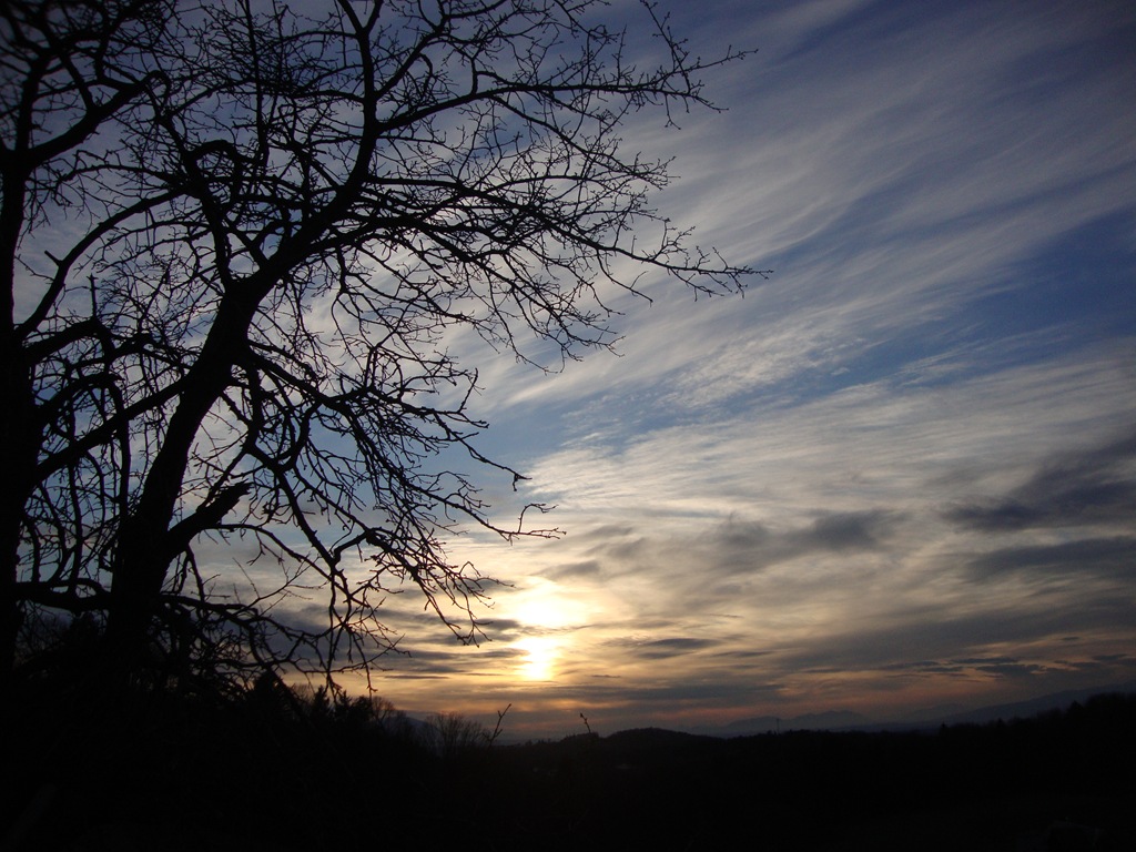 [DSC09595[2].jpg]