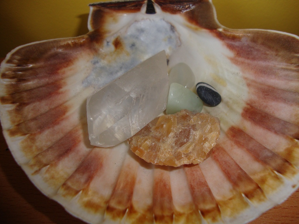 [DSC00098[2].jpg]