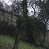 IMGP2149.JPG
