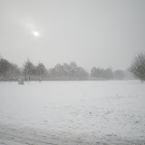 As you can see the Snow has come