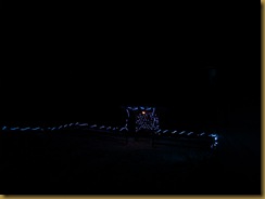 Christmas Lights on the Arbor & Fence