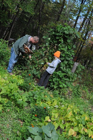 [Fall Garden_2010 10 02_2845[2].jpg]