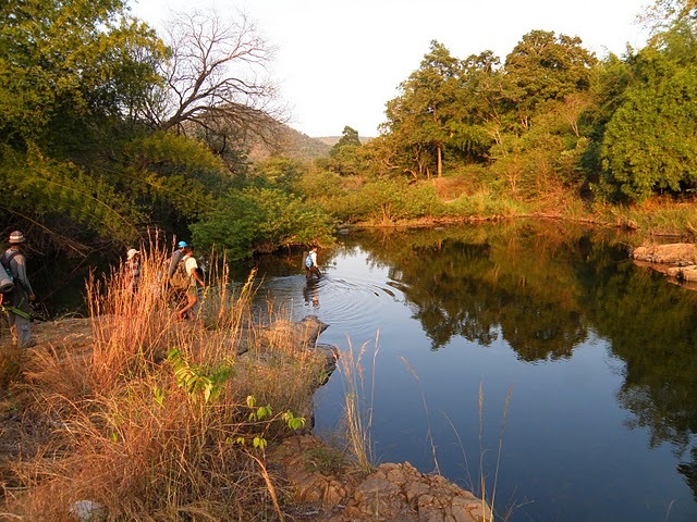 [P2270240[4].jpg]