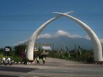 taman safari indonesia II