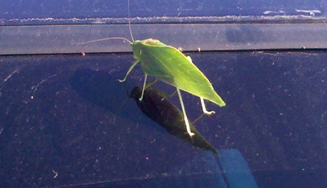 [2010-08-31_09-06-32_681[3].jpg]