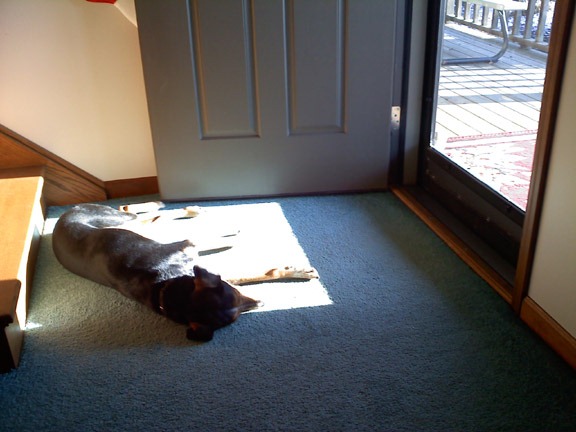 [0103001521a[3].jpg]