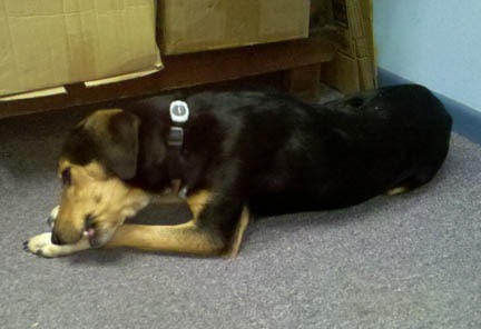 [2010-10-15_12-07-51_730[2].jpg]