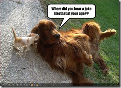 cat-dog-Where didyou hear a joke (Small)