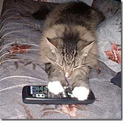 cat-remote-hog (Small)