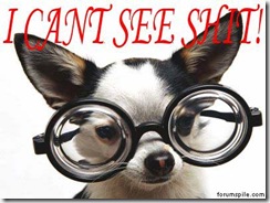 Dog_with_glasses-cant-see