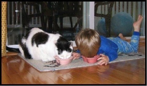 [cat-child-eating[3].jpg]
