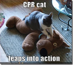 cat-CPR. cat-CPR.