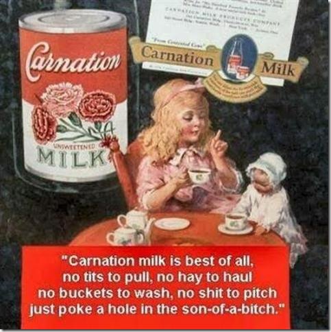 carnation_milk (Small)