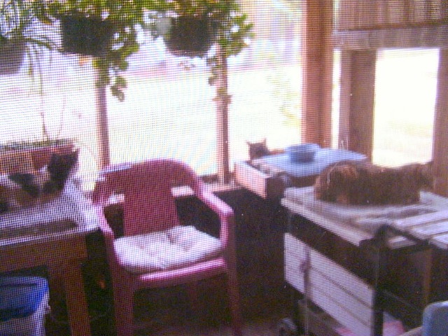 [All-three-on-porch[3].jpg]