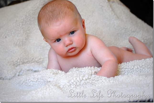 DSC_1497 DSC_1497