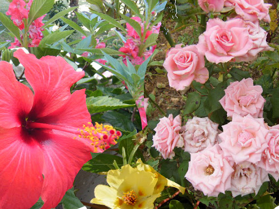 2009_10150002collage.jpg