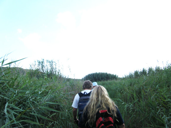 2010_08060007a.jpg
