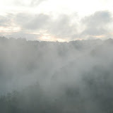 7_6_2008_010.jpg