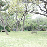 akc2008__0005.jpg