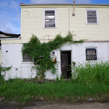 IMGP0192.JPG