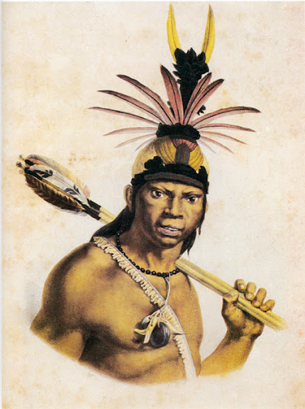 Índio Camaca-Mongoio de Jean Baptiste Debret (1834-1839). Litorgrafia Viagem Pitoresca e Histórica ao Brasil. Volume, 1 prancha 01. © Museu Castro Maia/Div. Iconografia, Rio de Janeiro.