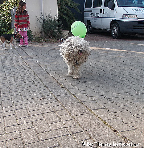 [2009-09-27 Olympus Prinzessinnentag RE 023[18].jpg]
