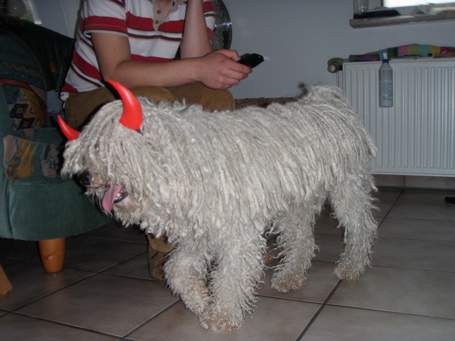 [PA020041[10].jpg]