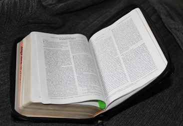 My Bible My Bible