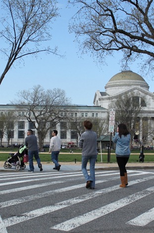 The Washington Mall