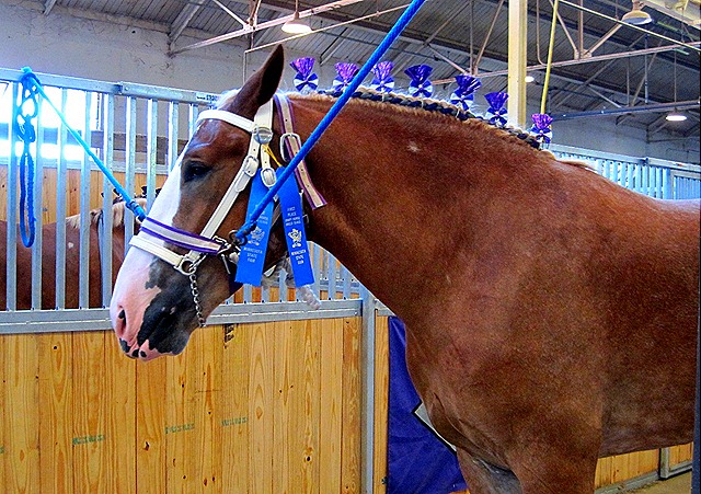 [August 28 2010 State Fair 234[6].jpg]