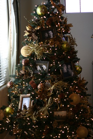 [IMG_58633.jpg]