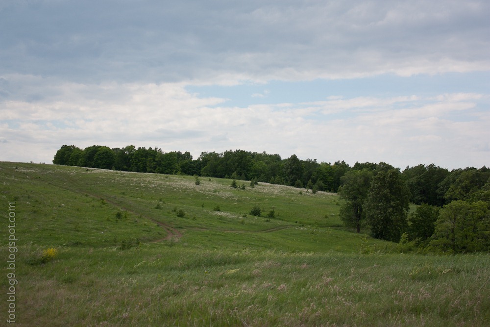 [20100609-IMG_3818[4].jpg]