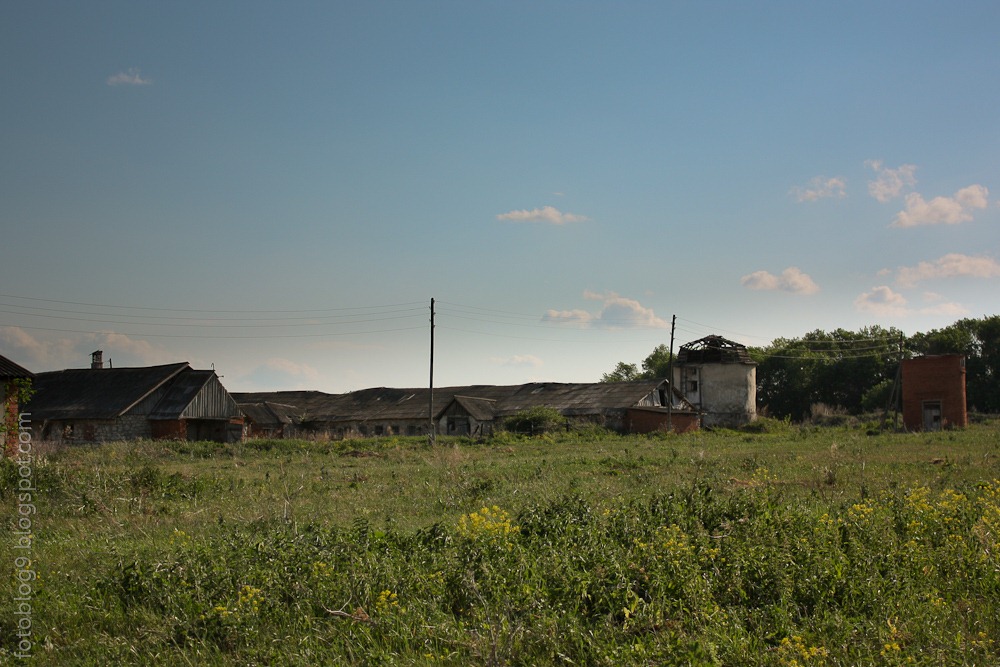 [20100609-IMG_3888.jpg]