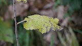 P1000641.JPG