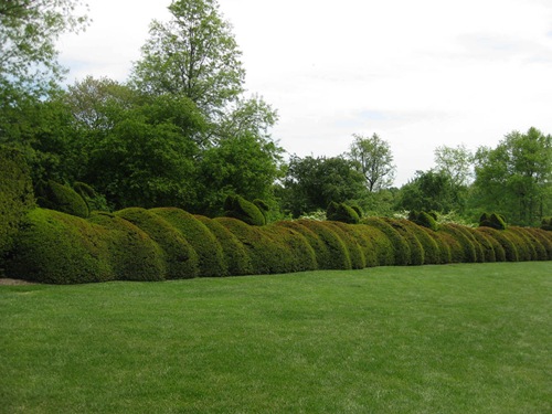 [Ladew 2010 098[2].jpg]