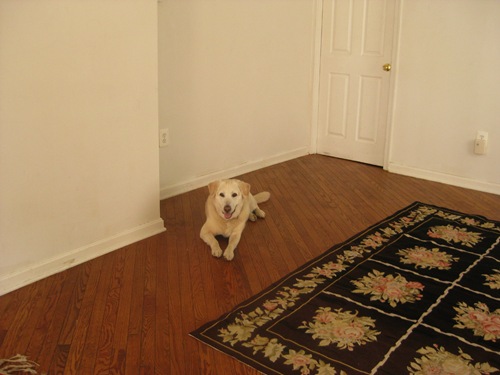 [house 007[2].jpg]
