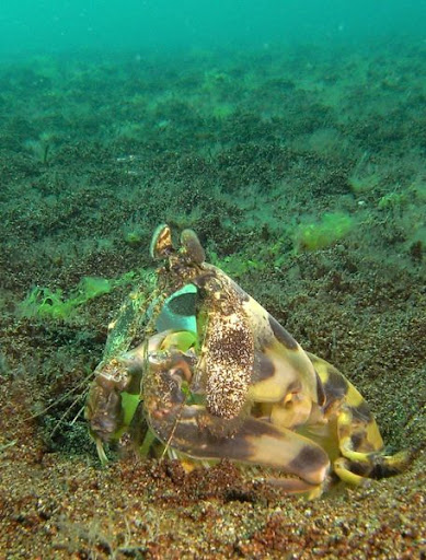 M0011176.JPG
