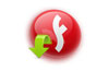 Descargar Download Flash and Video gratis