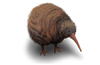 Descargar jKiwi gratis