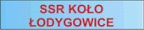ARTYKU�Y